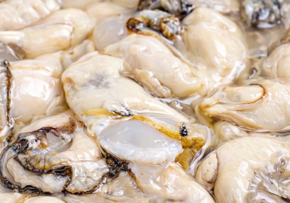 kmong_image_2026-01-22-18-07-12-640